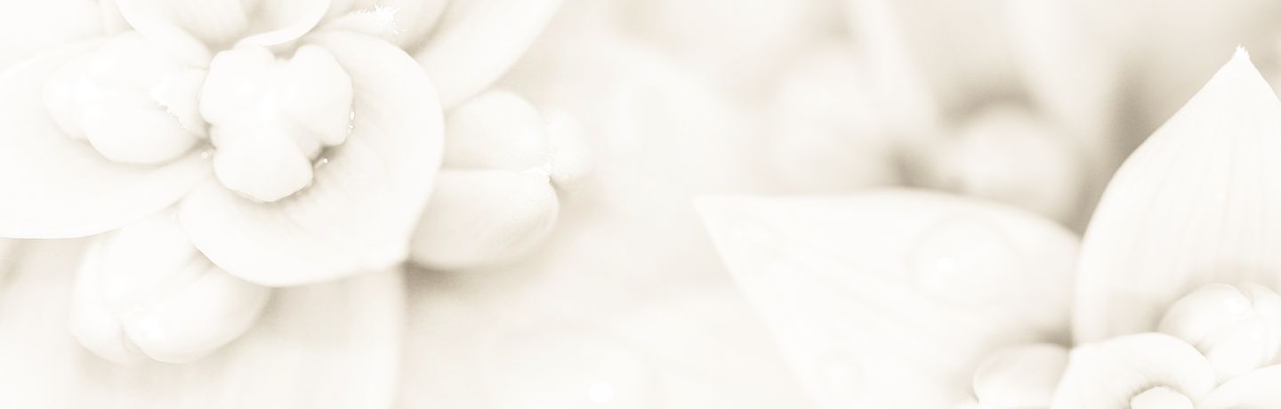 Starseeds Of Hope